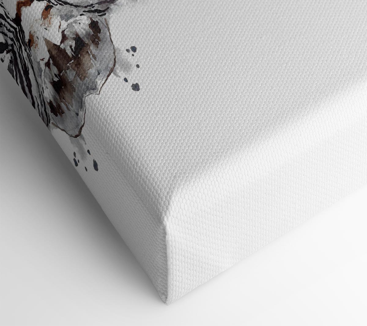 Zebta Splatter Canvas Art