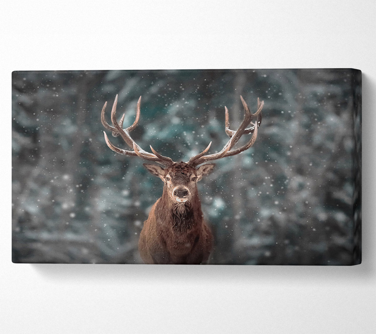 Stag In The Snow Canvas Wall Art
