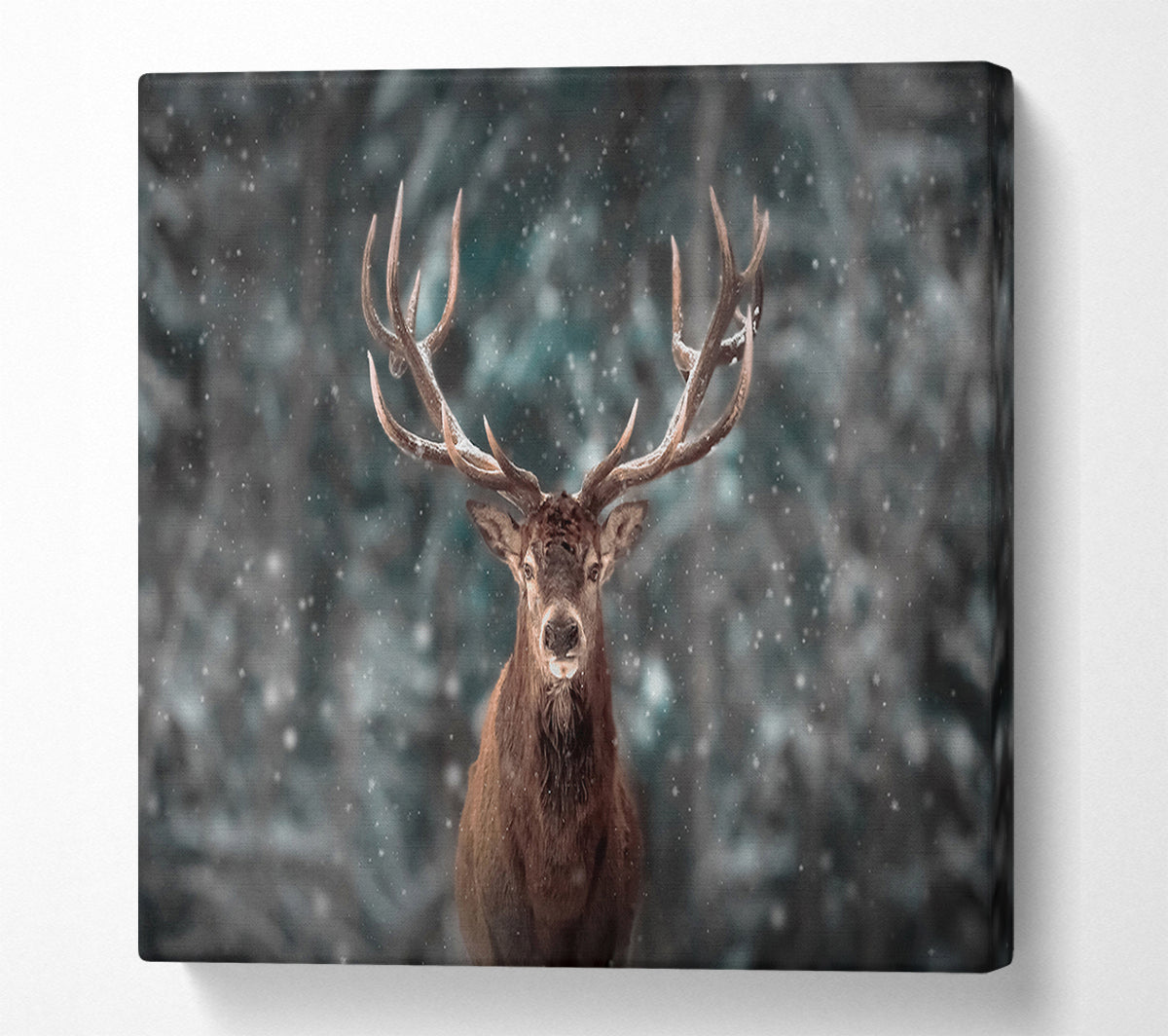 Stag In The Snow Canvas Wall Art