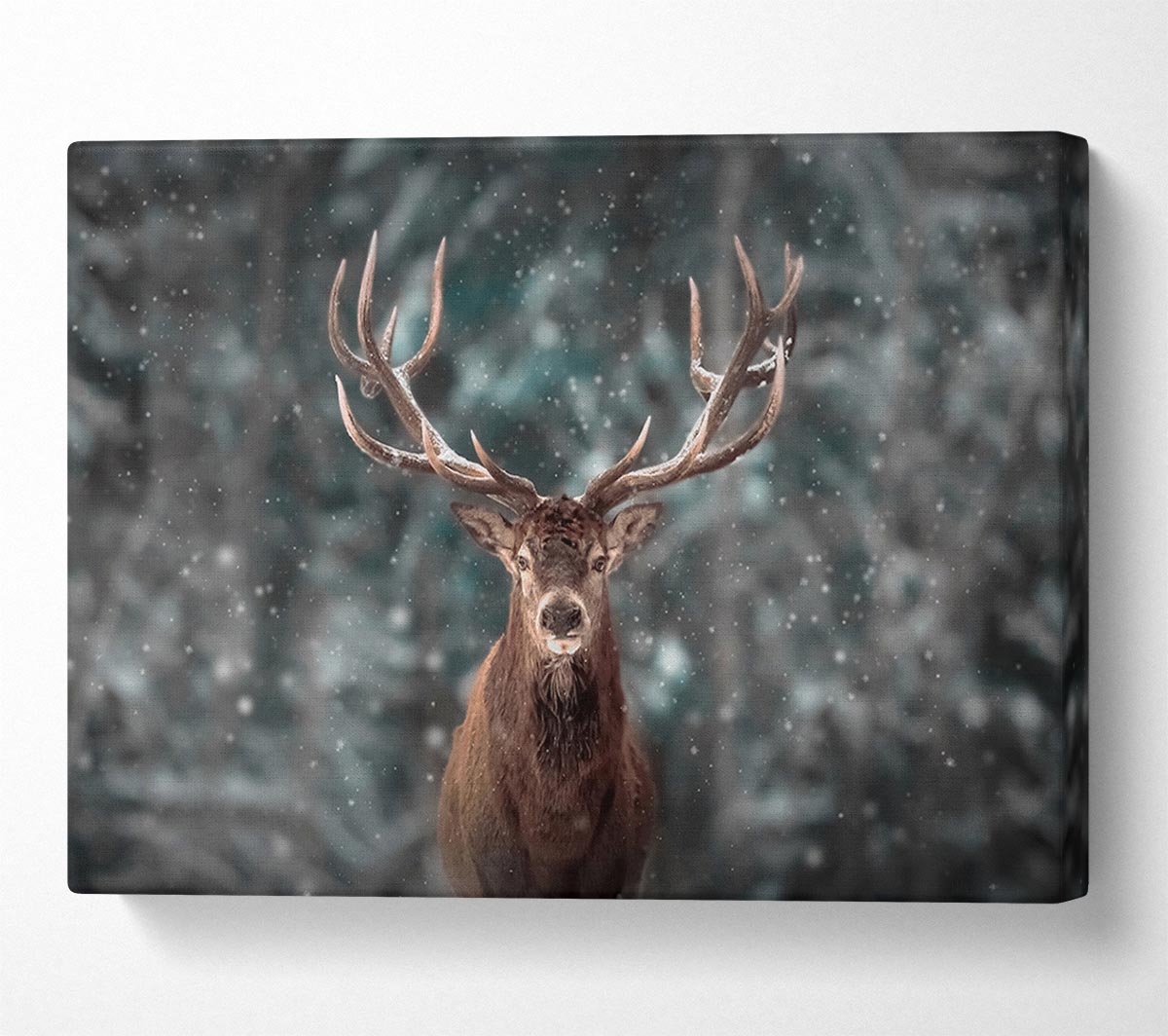 Stag In The Snow Canvas Wall Art