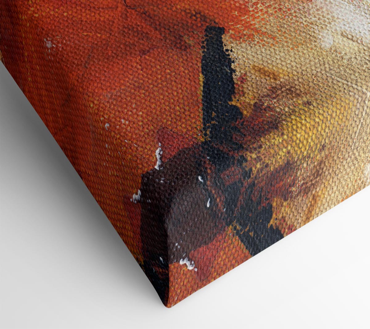 Striking Face Canvas Wall Art