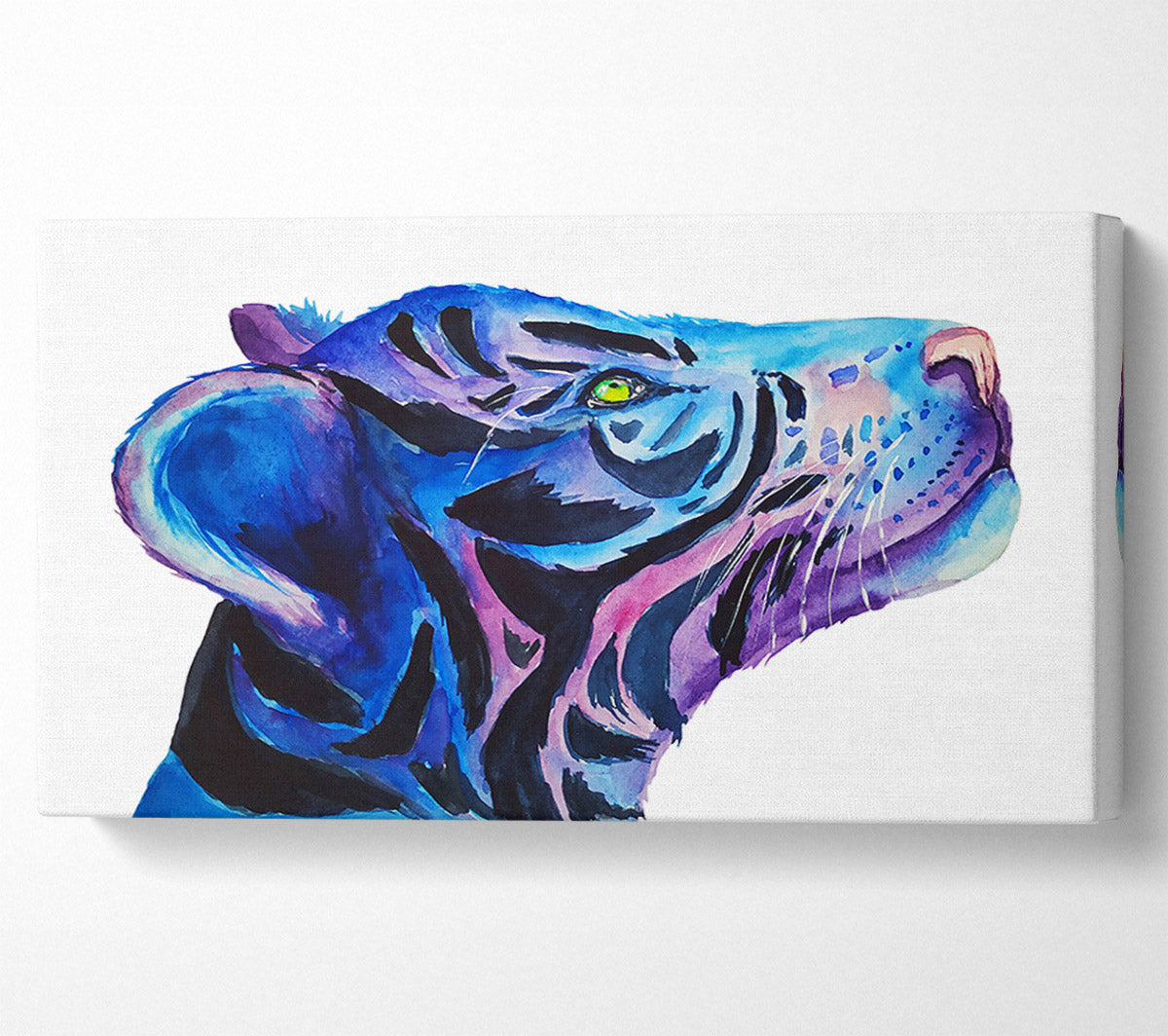 Stunning Tiger Cub Blues Canvas Wall Art