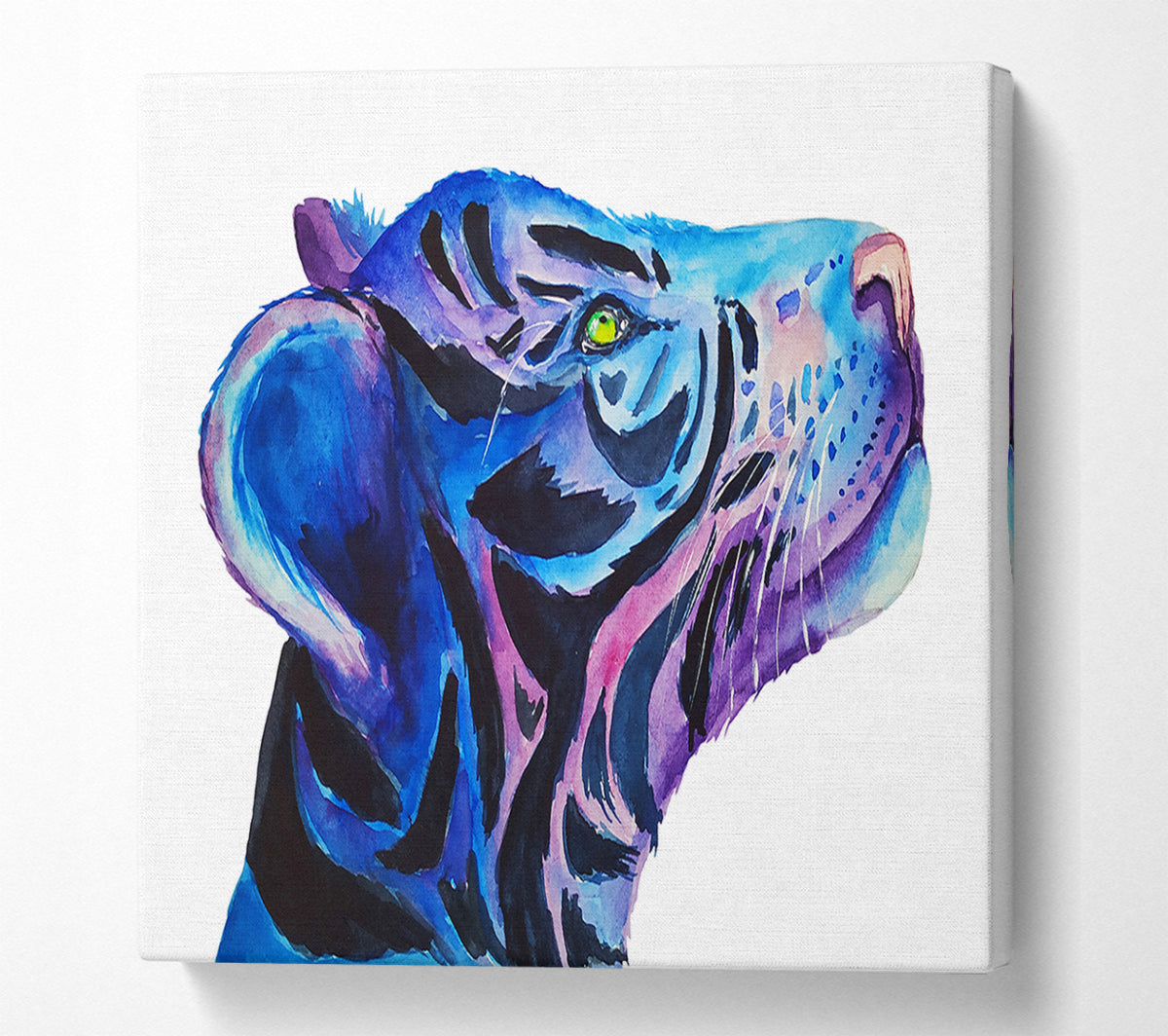 Stunning Tiger Cub Blues Canvas Wall Art