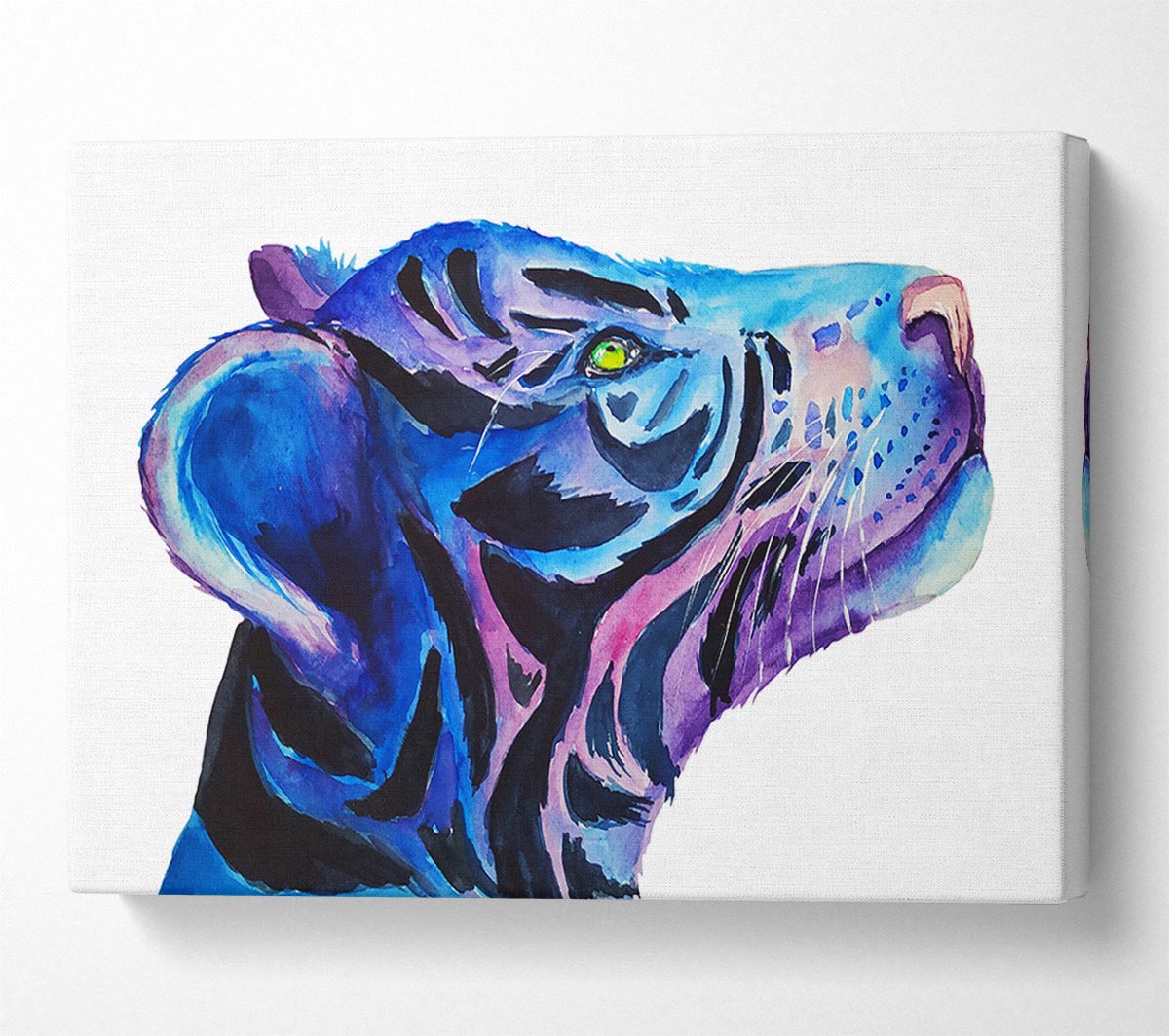 Stunning Tiger Cub Blues Canvas Wall Art