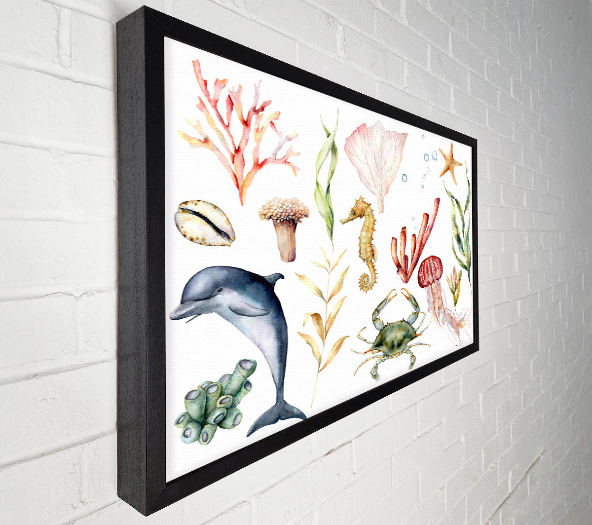 Water Colour Sea Creatures Canvas Wall Art