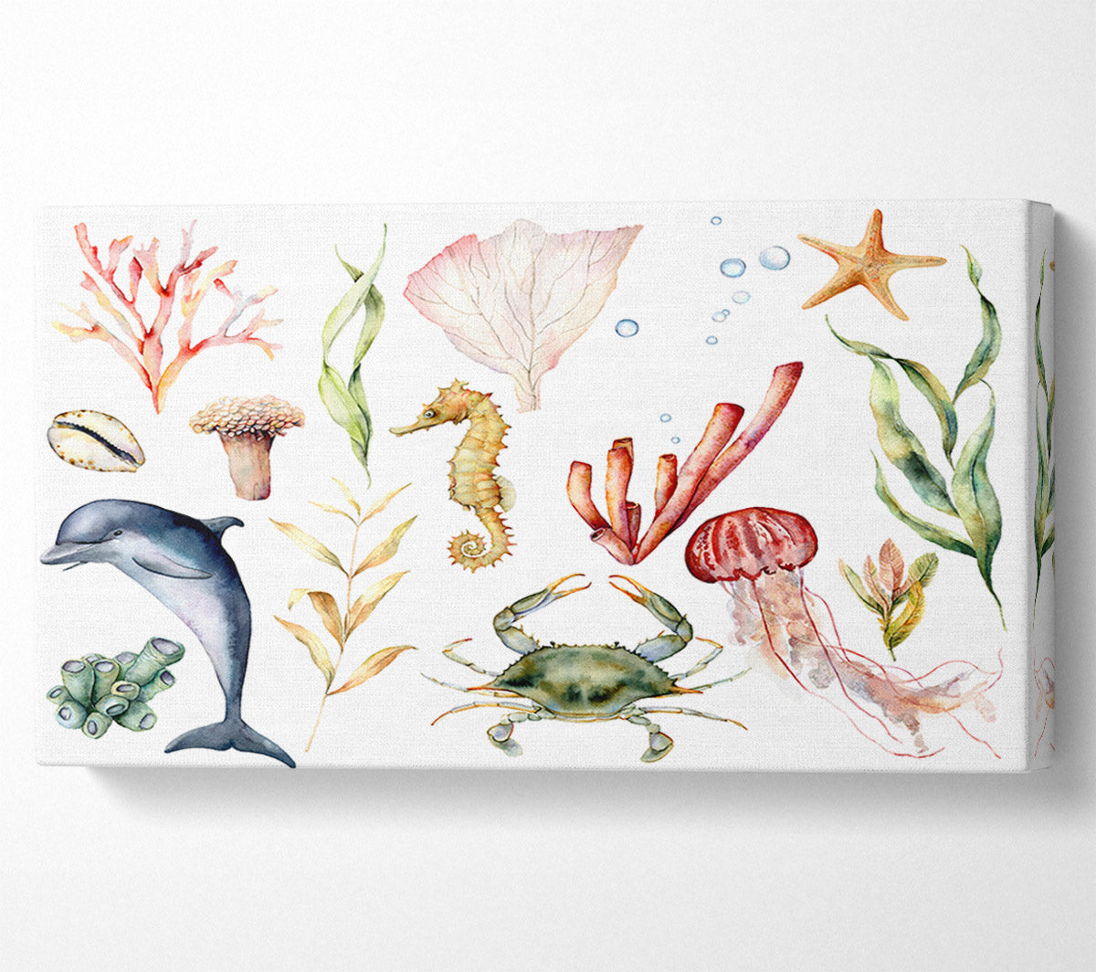 Water Colour Sea Creatures Canvas Wall Art