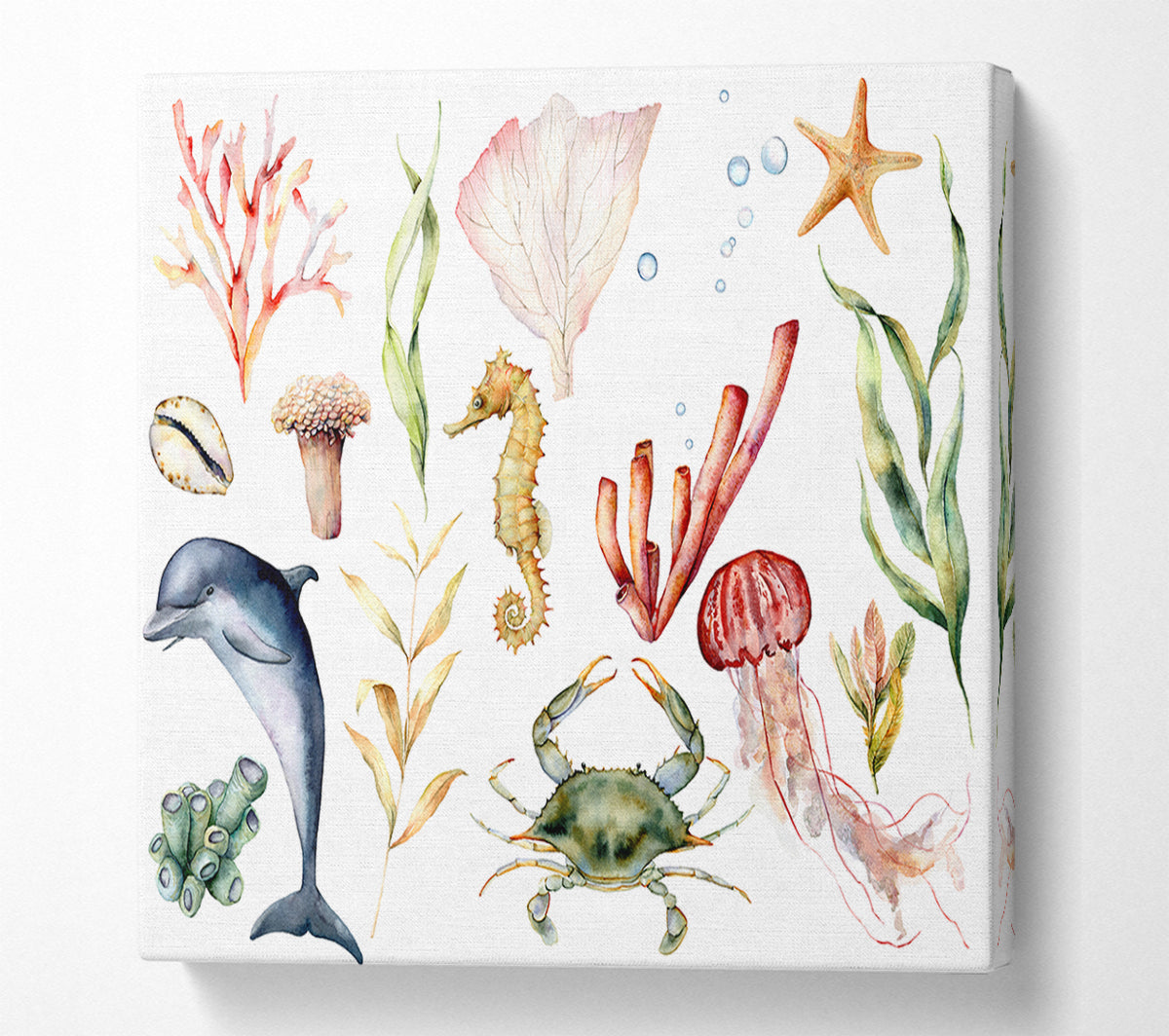 Water Colour Sea Creatures Canvas Wall Art