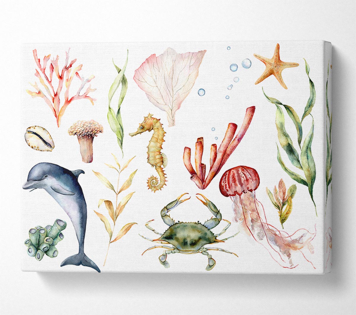 Water Colour Sea Creatures Canvas Wall Art