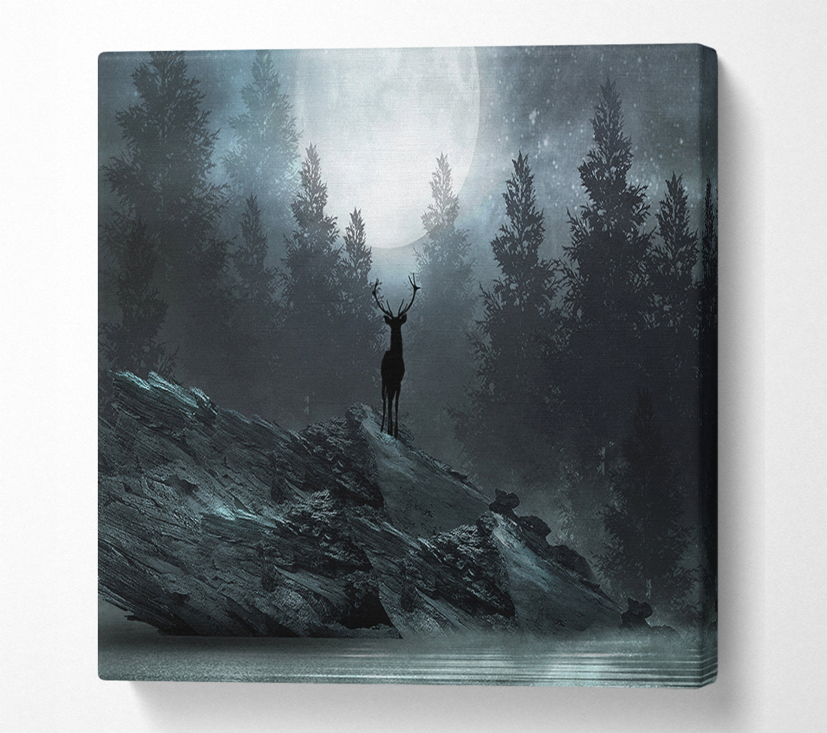 The Deer At Night Canvas Wall Art