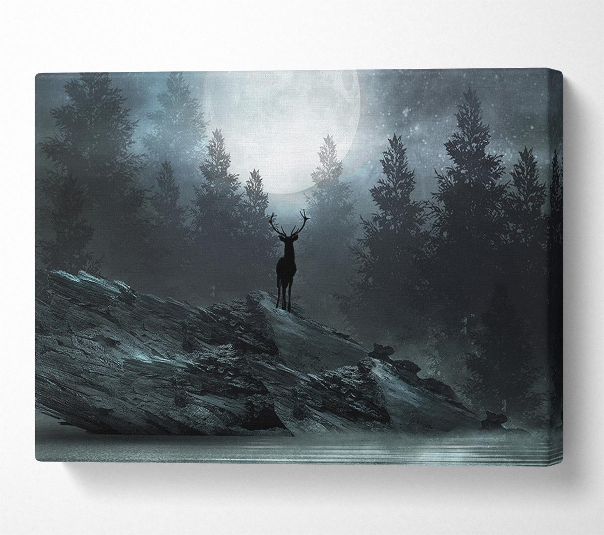 The Deer At Night Canvas Wall Art