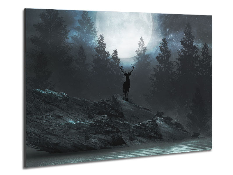 The Deer At Night Metal Print