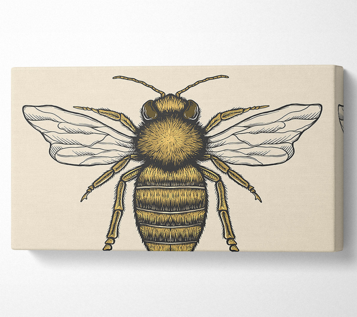 The Lovely Honey Bee Canvas Wall Art