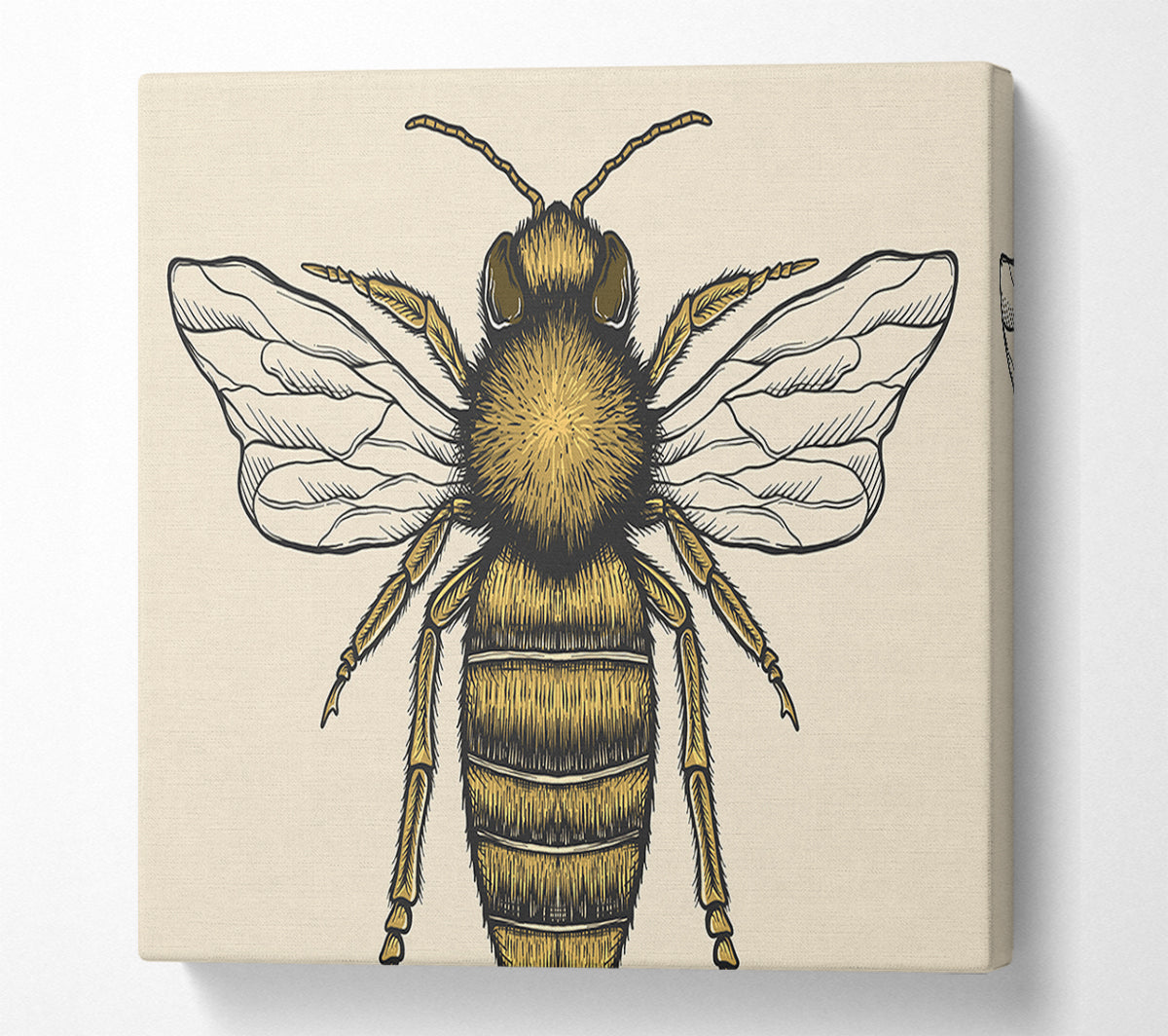 The Lovely Honey Bee Canvas Wall Art