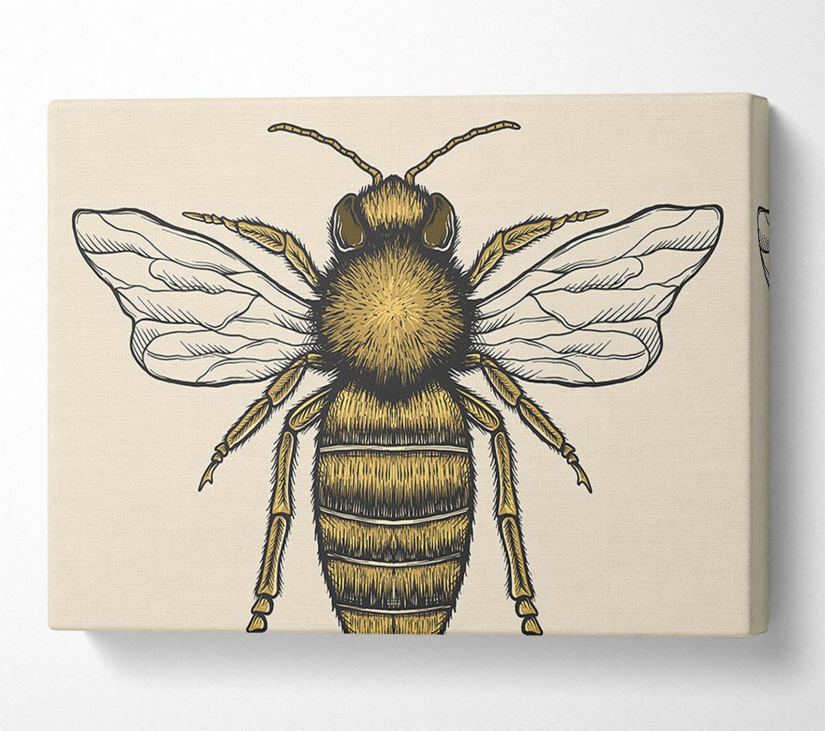 The Lovely Honey Bee Canvas Wall Art