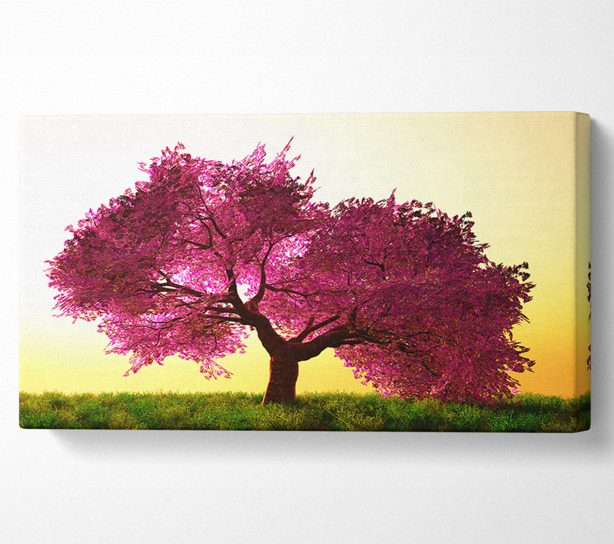 The Pink Tree Blossom Hilltop Canvas Wall Art