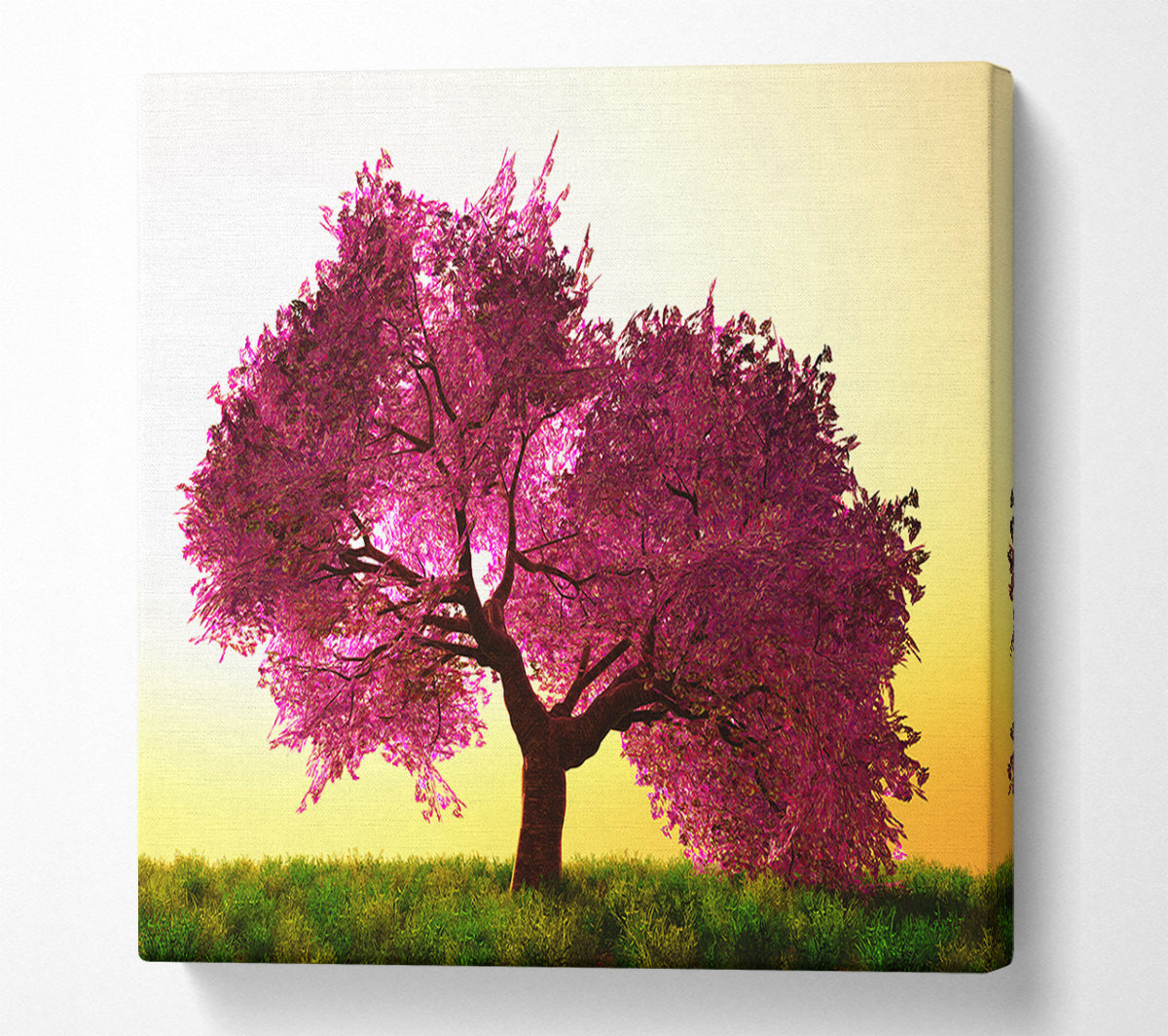 The Pink Tree Blossom Hilltop Canvas Wall Art