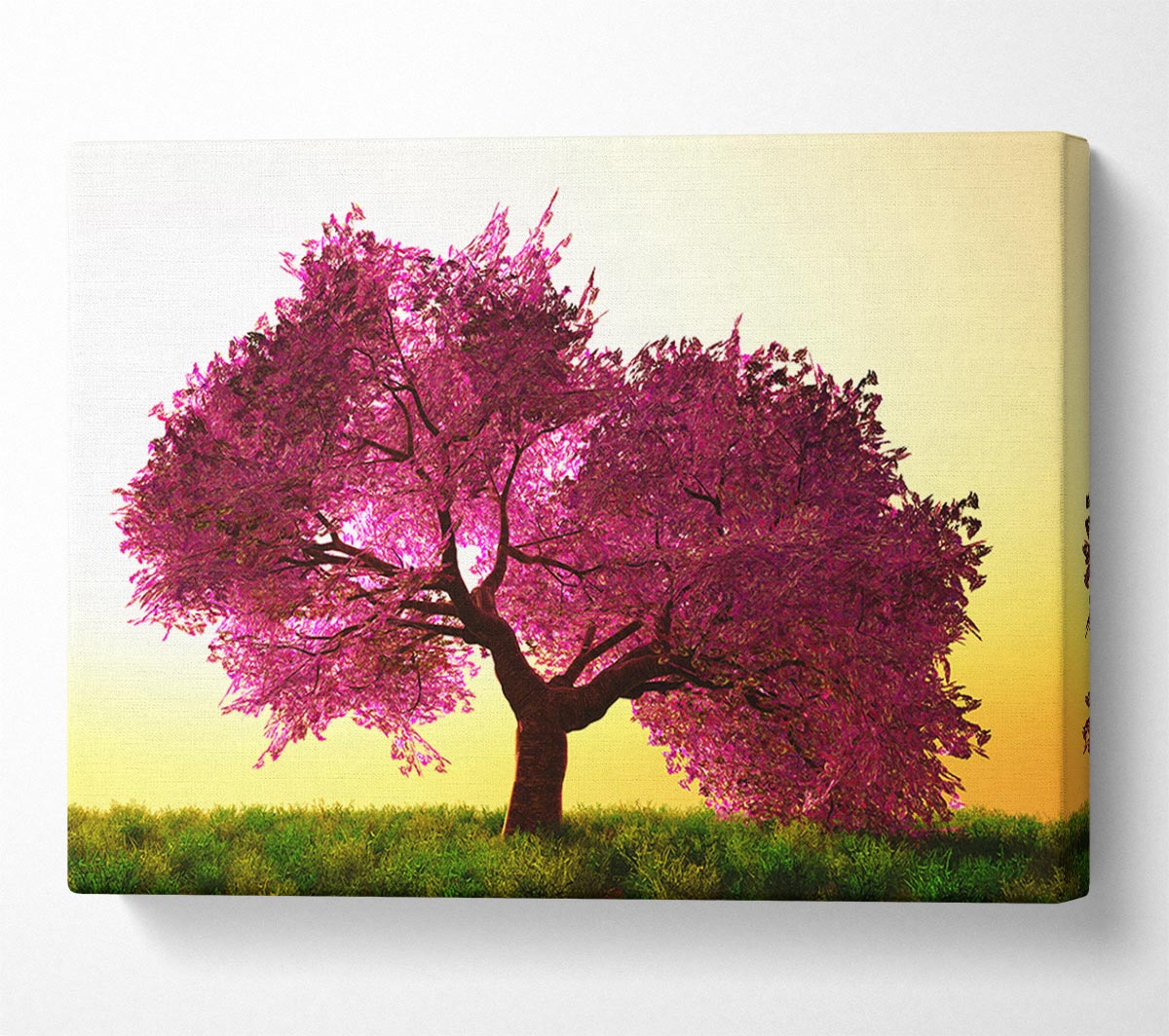 The Pink Tree Blossom Hilltop Canvas Wall Art