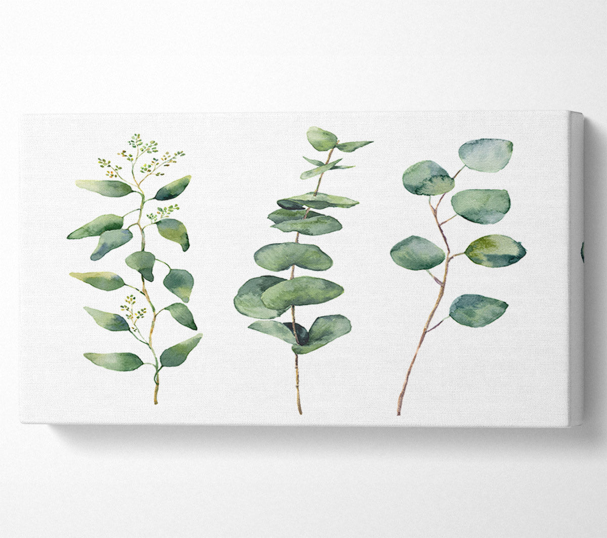 Three Green Foliage Stems Canvas Wall Art