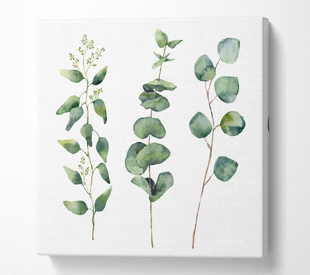 Three Green Foliage Stems Canvas Wall Art