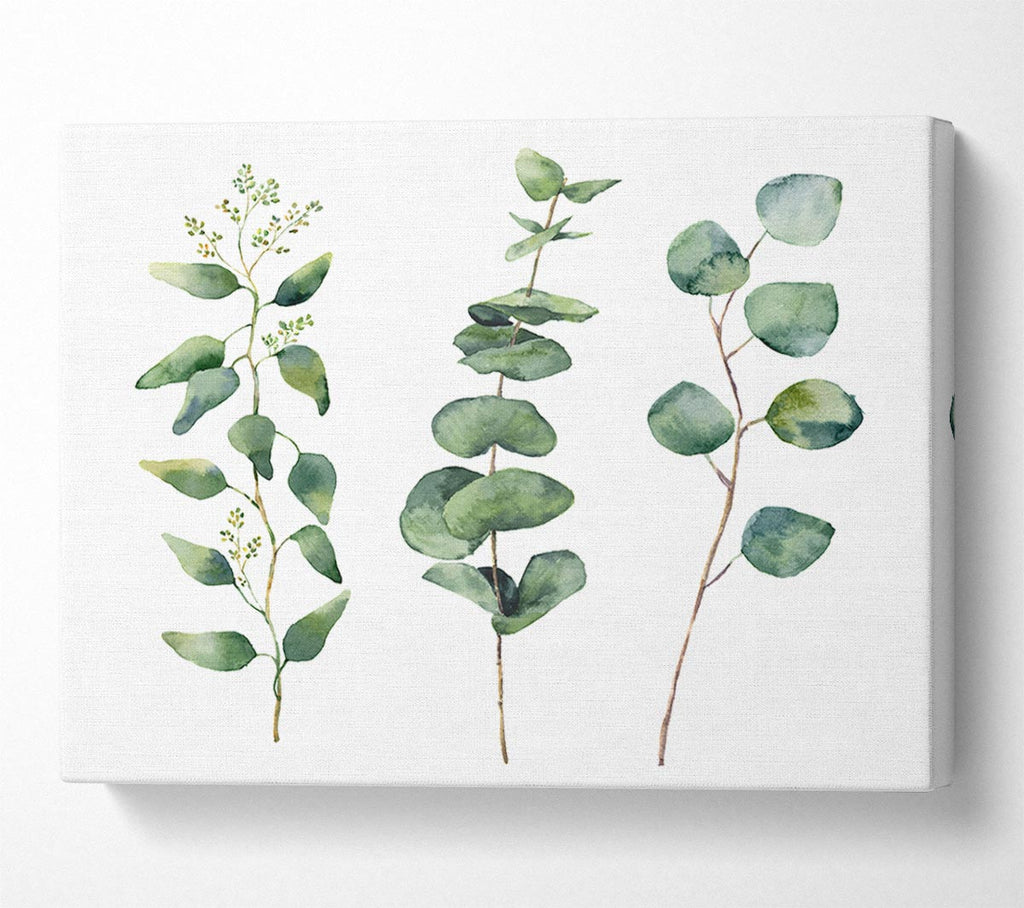 Three Green Foliage Stems Canvas Wall Art