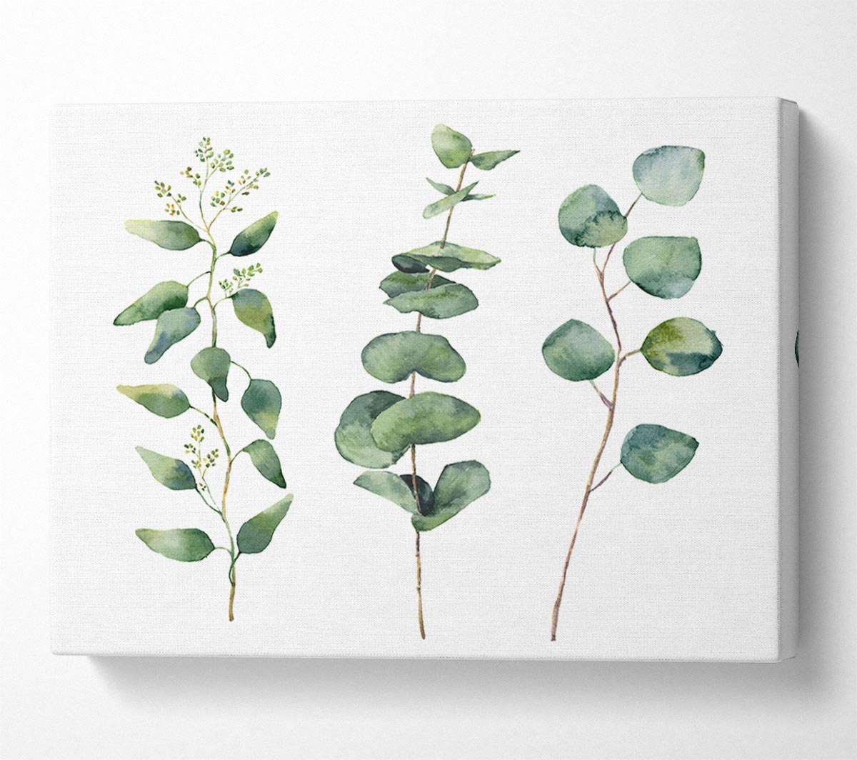 Three Green Foliage Stems Canvas Wall Art