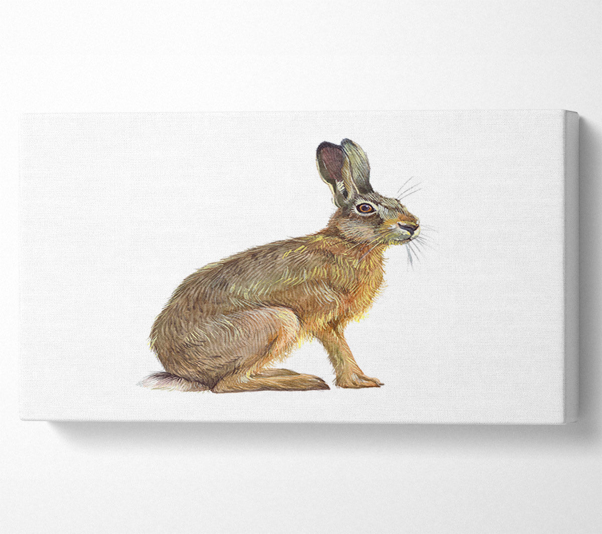 The Hare Alone Canvas Wall Art