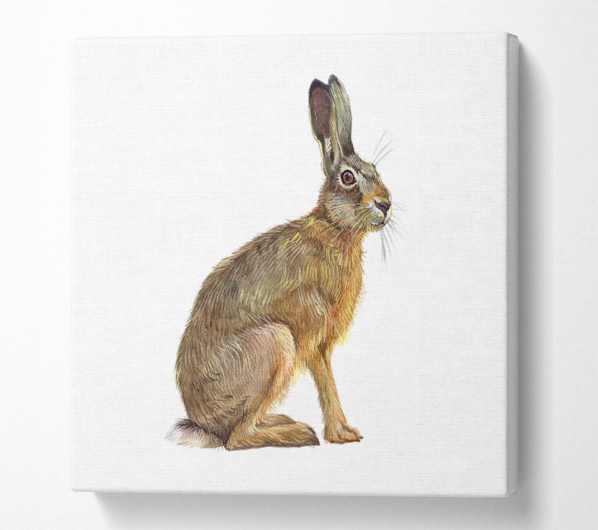 The Hare Alone Canvas Wall Art