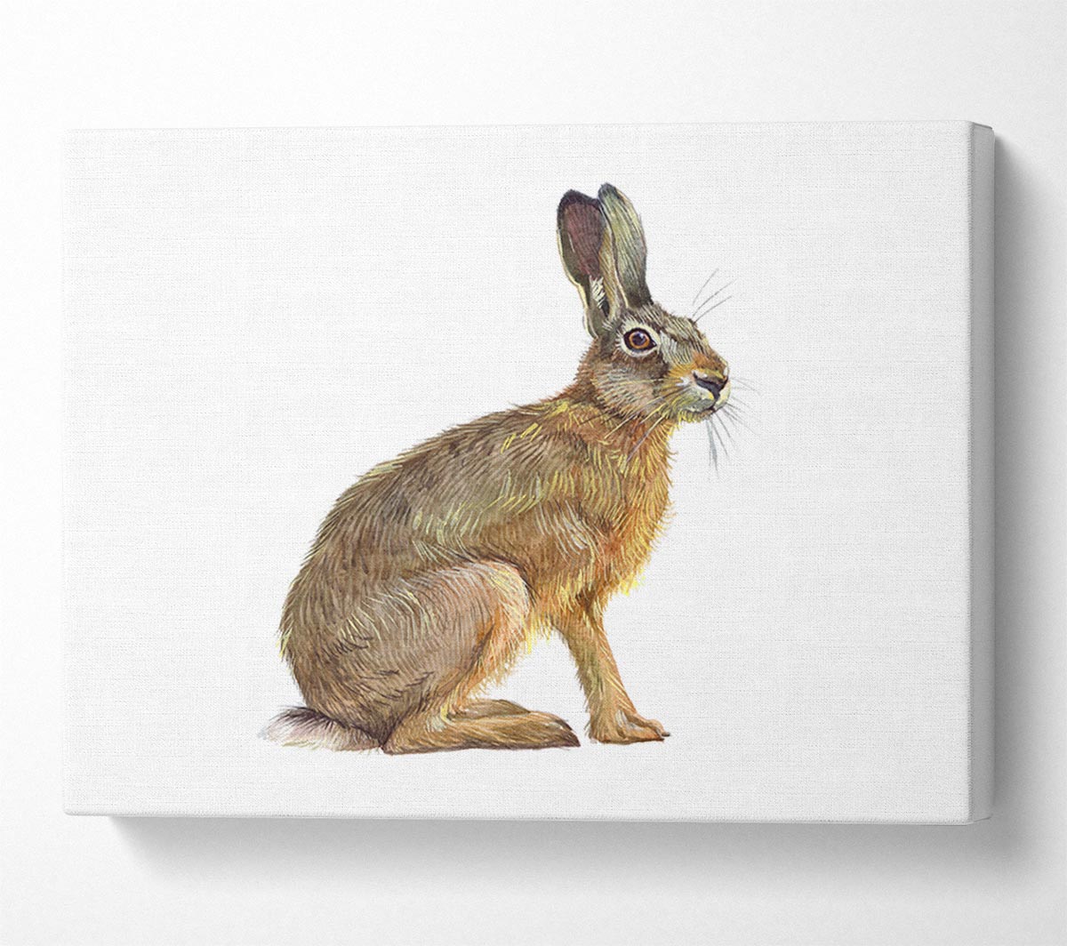 The Hare Alone Canvas Wall Art