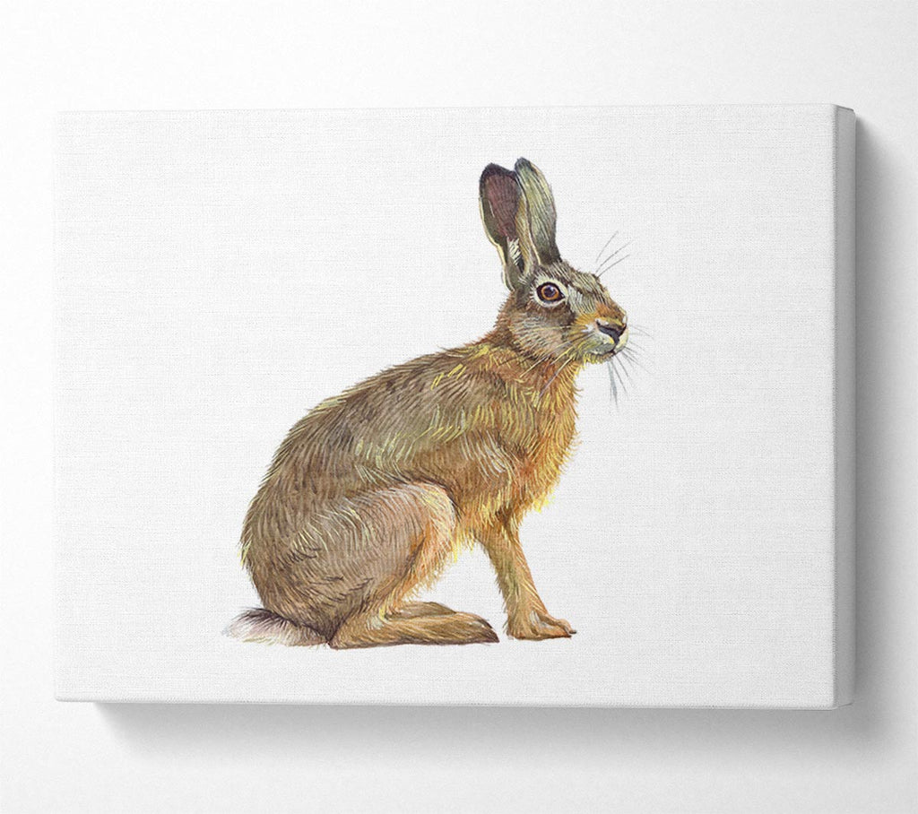 The Hare Alone Canvas Wall Art
