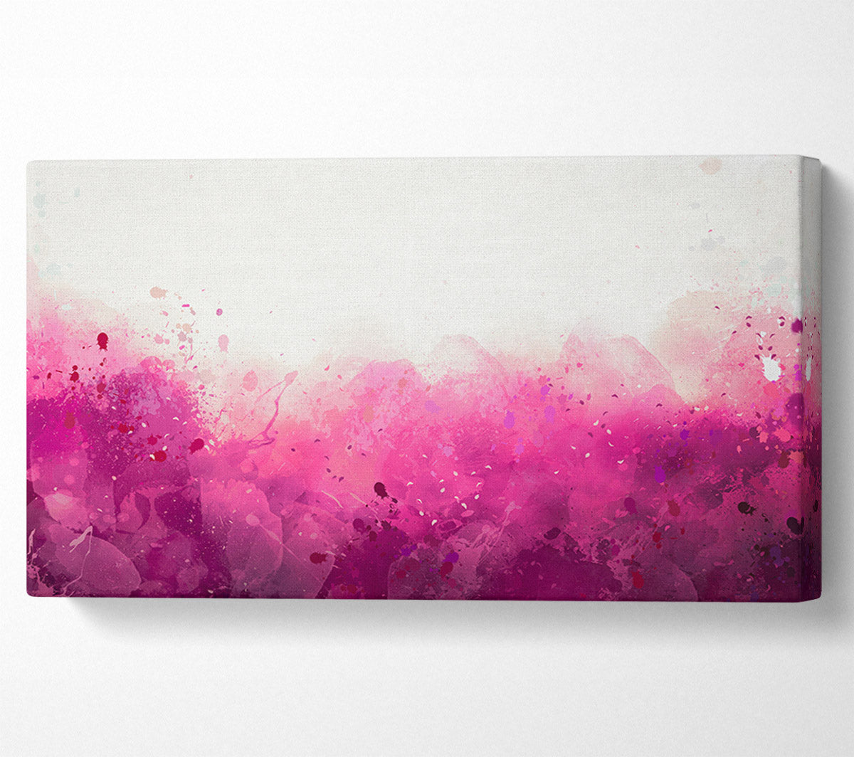 Pink Blushes Of Colour Canvas Wall Art