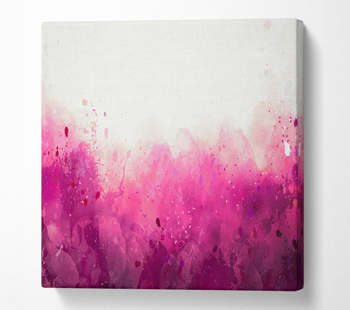 Pink Blushes Of Colour Canvas Wall Art