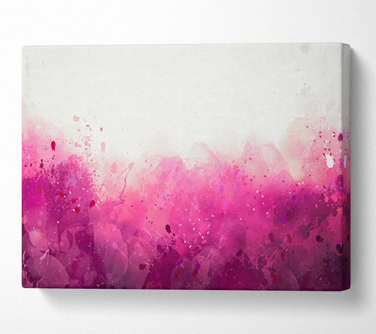 Pink Blushes Of Colour Canvas Wall Art
