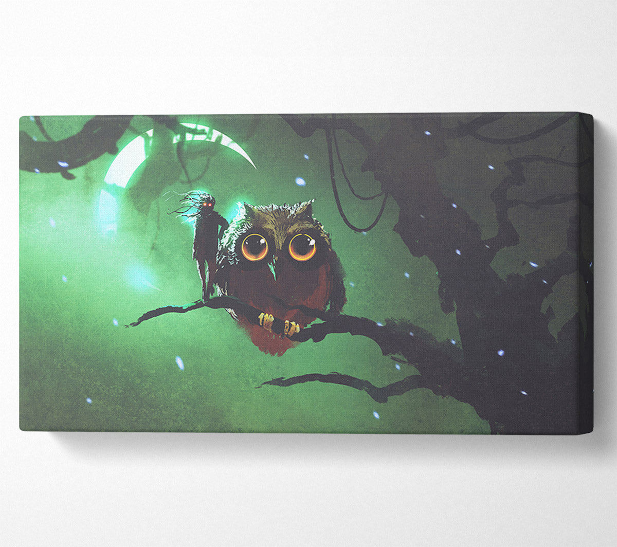 The Visit From The Owl Canvas Wall Art
