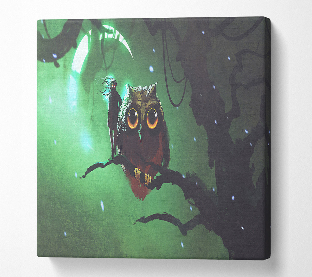 The Visit From The Owl Canvas Wall Art