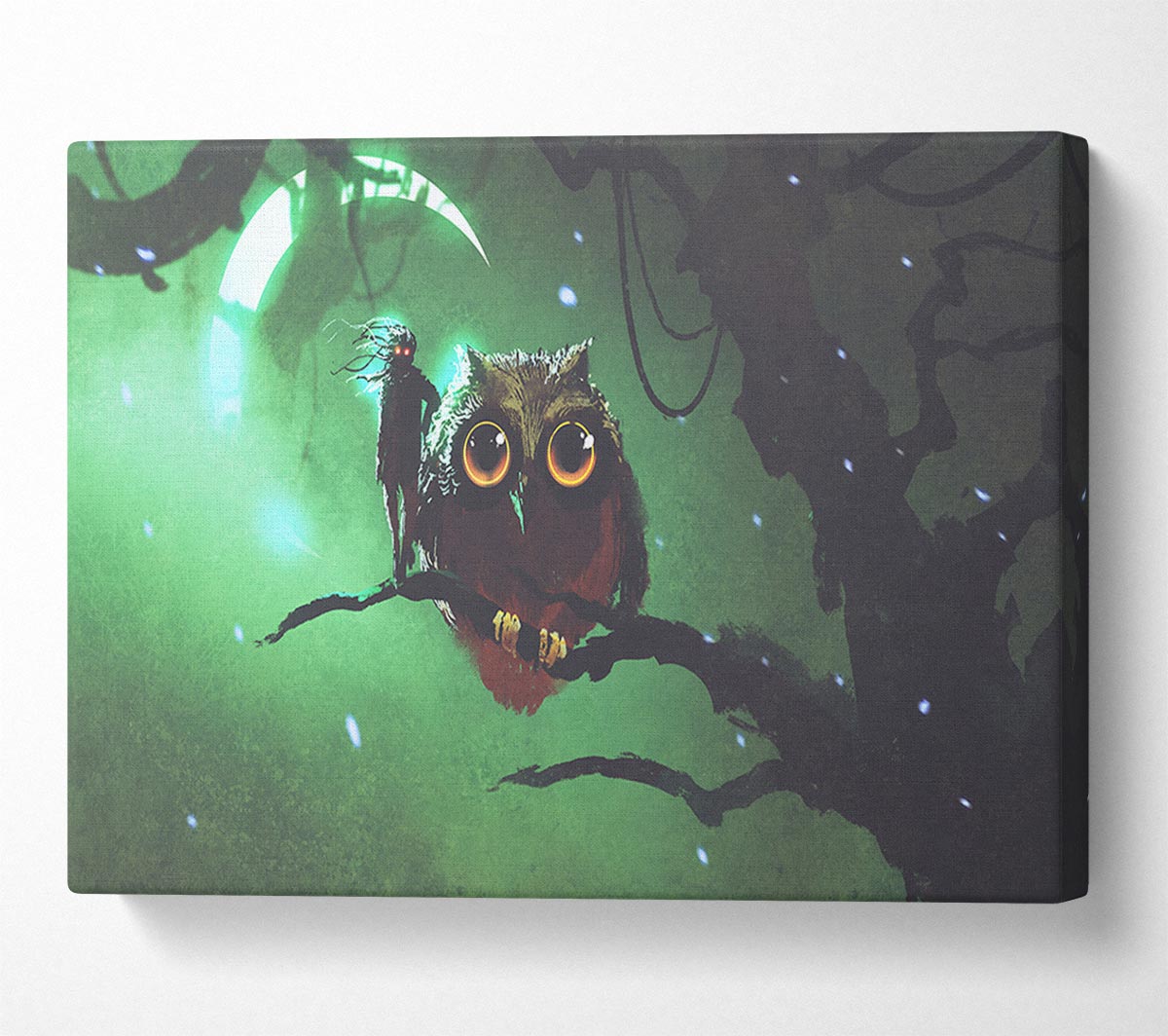 The Visit From The Owl Canvas Wall Art