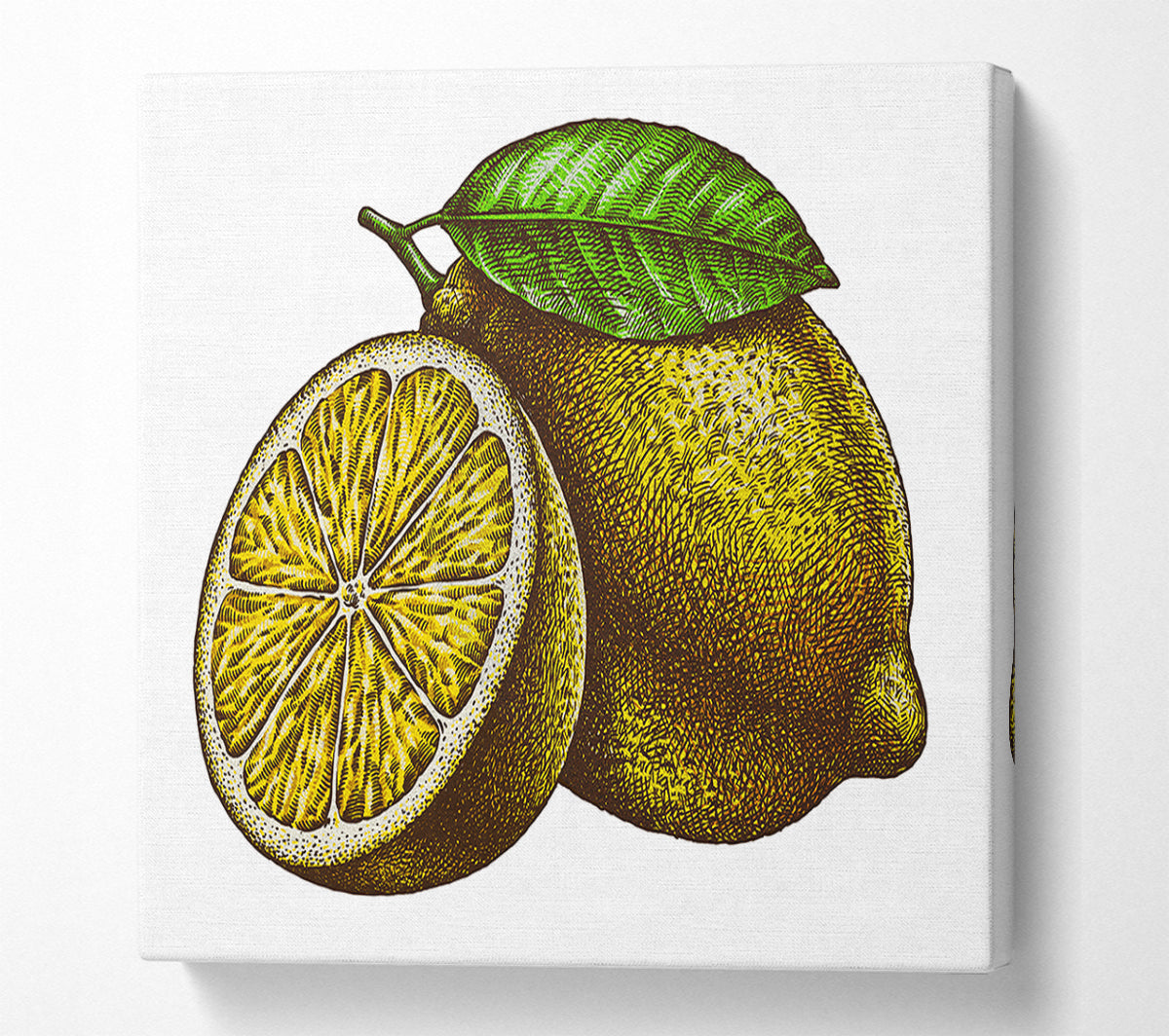 A Lemon Illustrated Canvas Wall Art