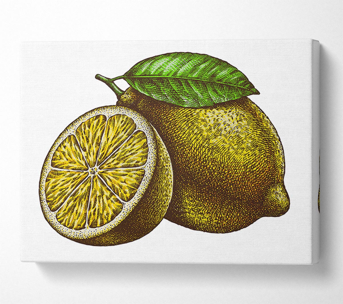 A Lemon Illustrated Canvas Wall Art