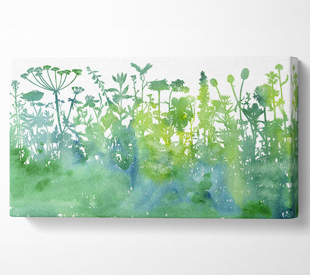 The Outline Of Flora Canvas Wall Art