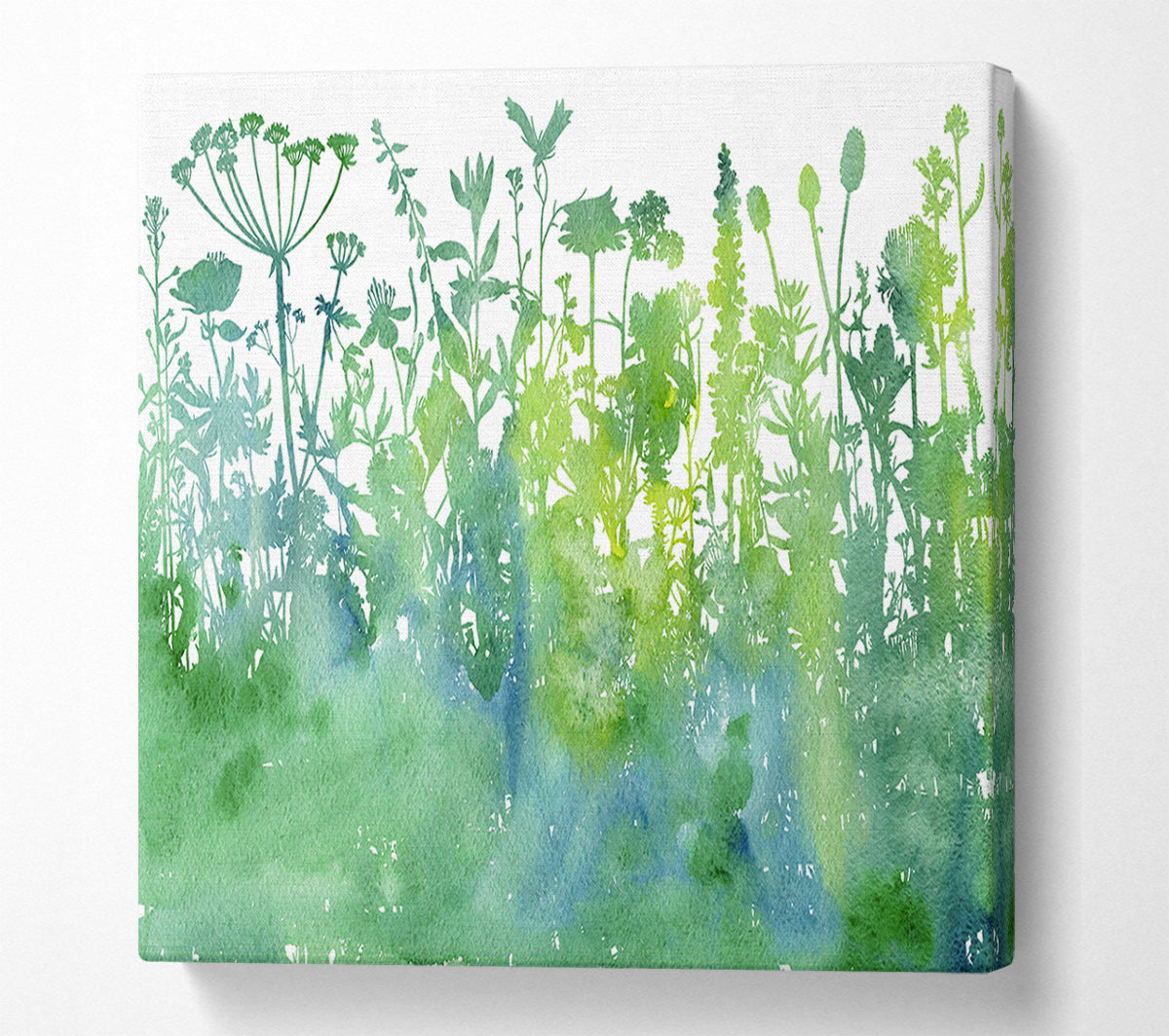 The Outline Of Flora Canvas Wall Art