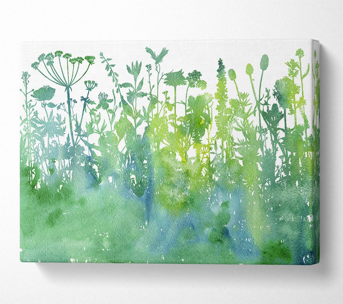 The Outline Of Flora Canvas Wall Art