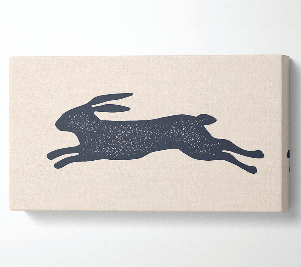 The Bouncing Hare Canvas Wall Art