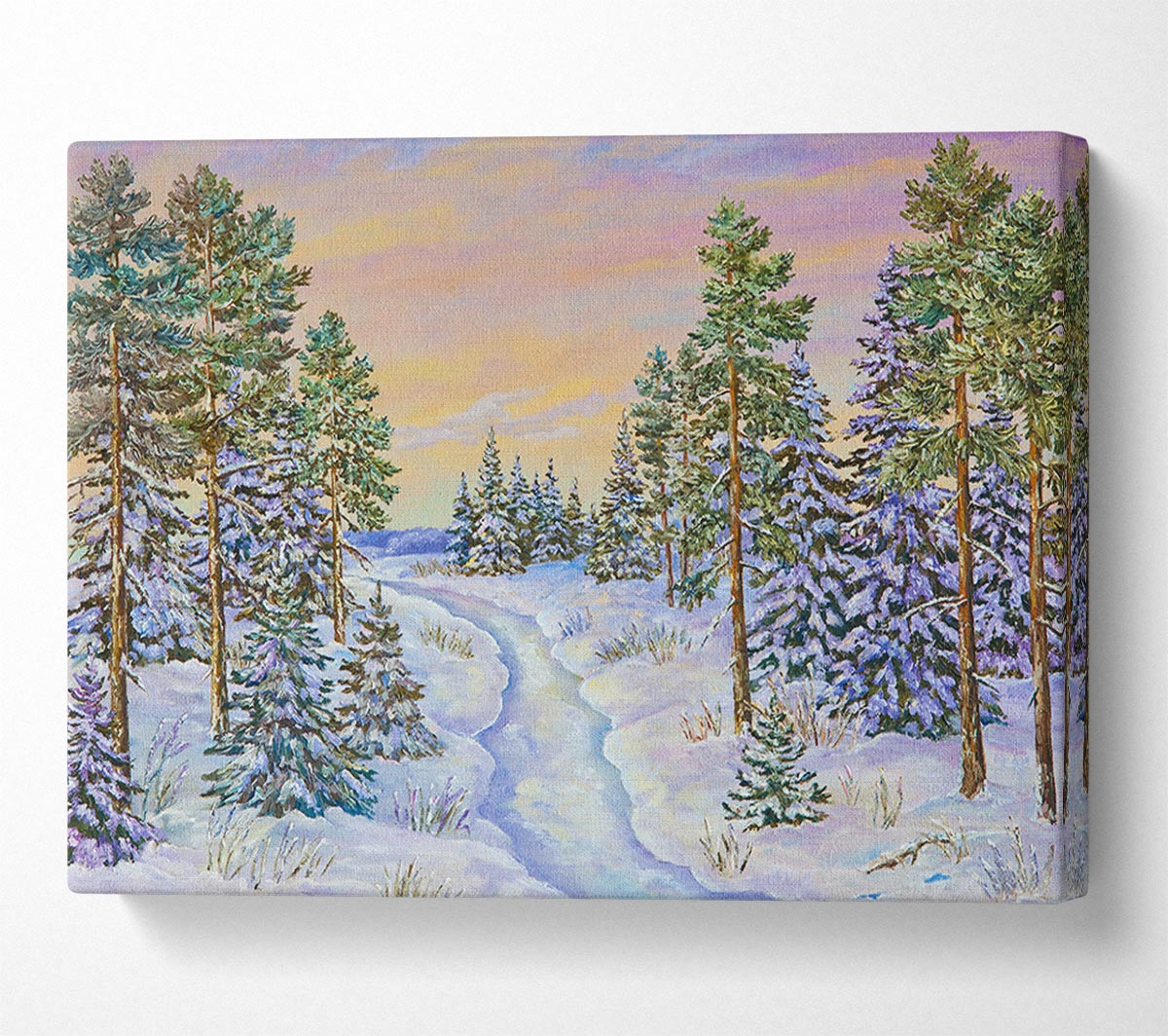 A Snow Filled Wood Canvas Print