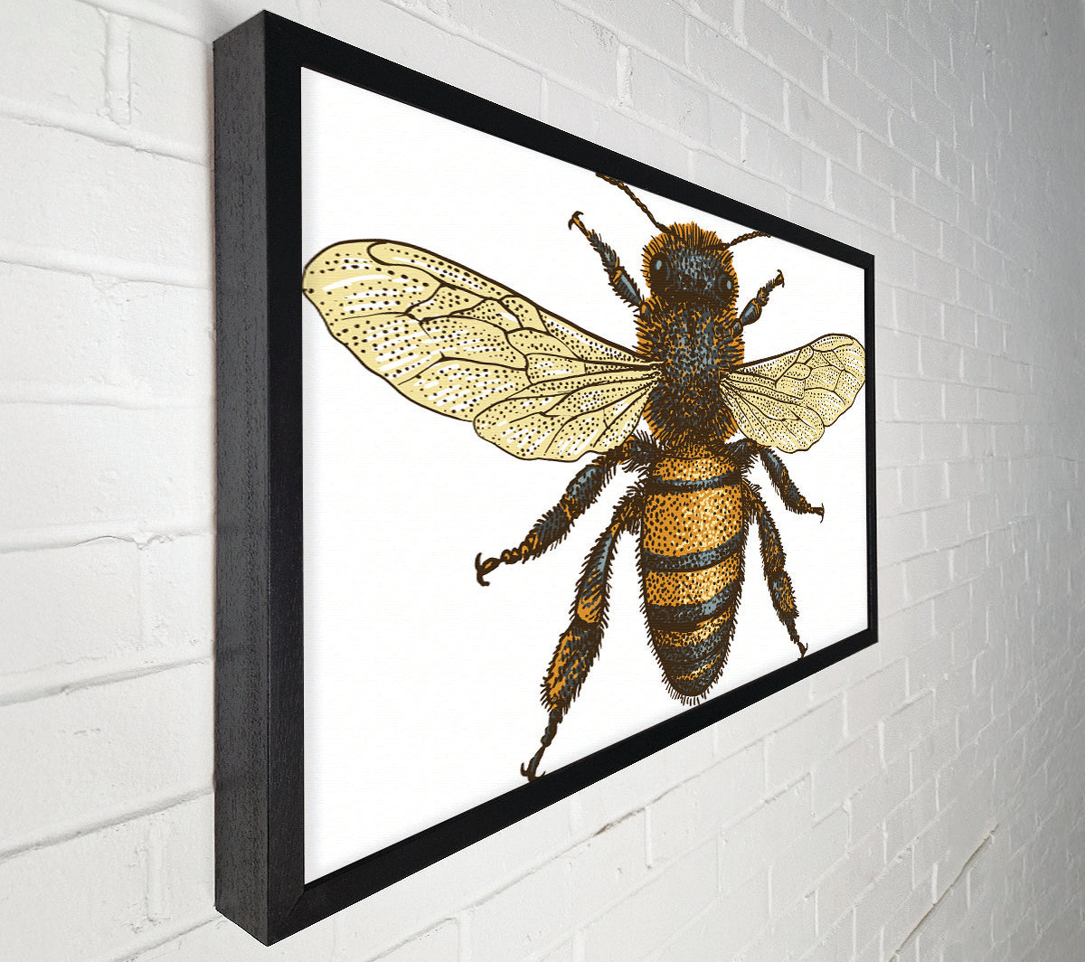 A Bee Illustrated Canvas Art