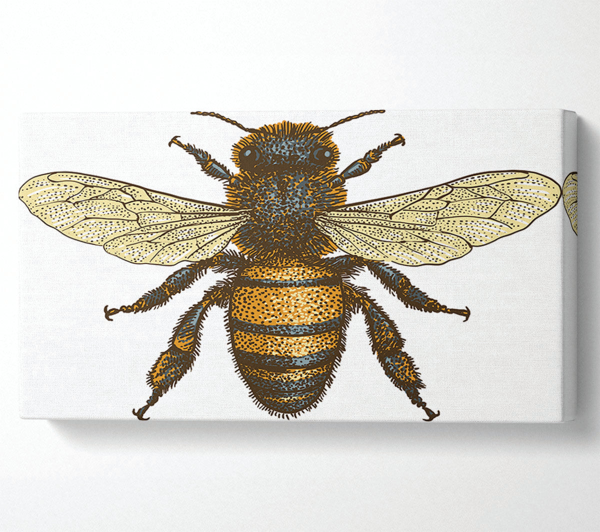 A Bee Illustrated Canvas Art