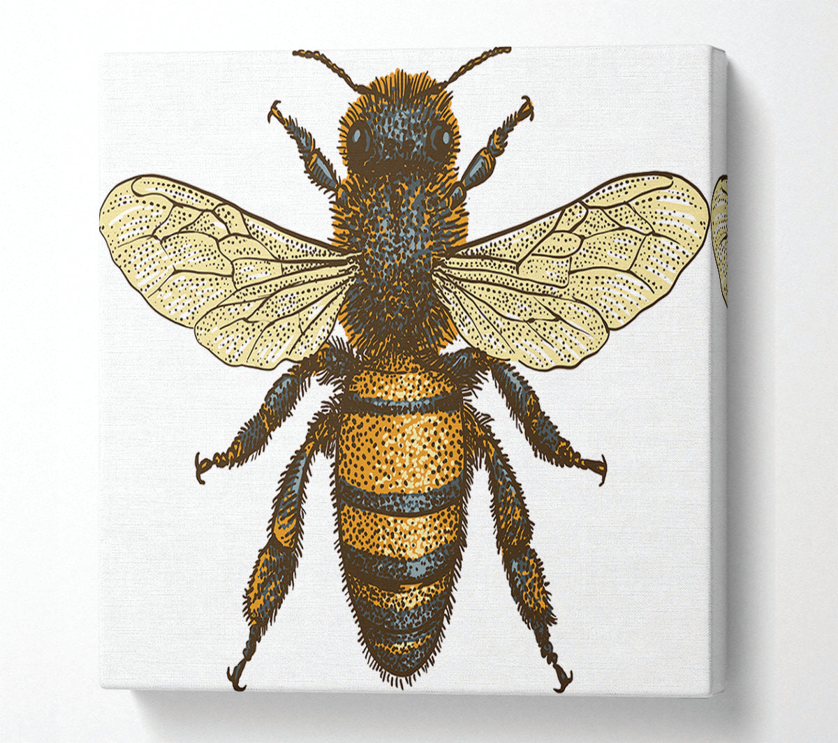 A Bee Illustrated Canvas Art