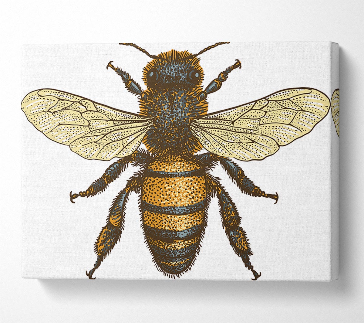 A Bee Illustrated Canvas Art