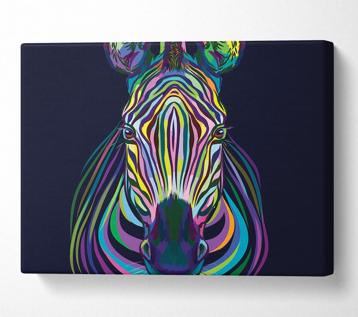 Stunning Zebra Vibrant Canvas Wall Art