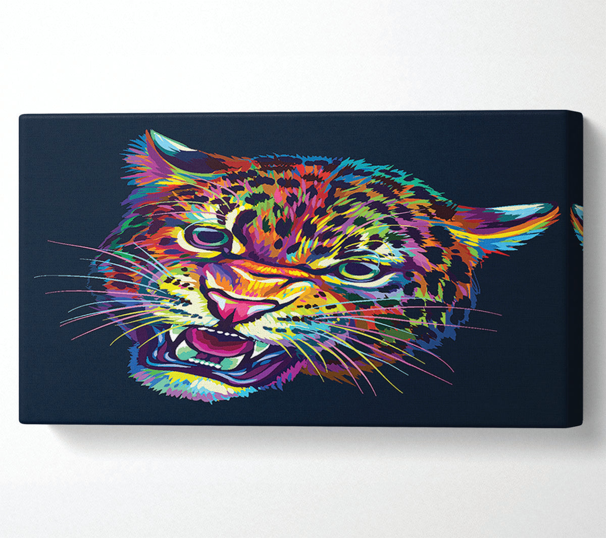 Rainbow Leopard Canvas Wall Art