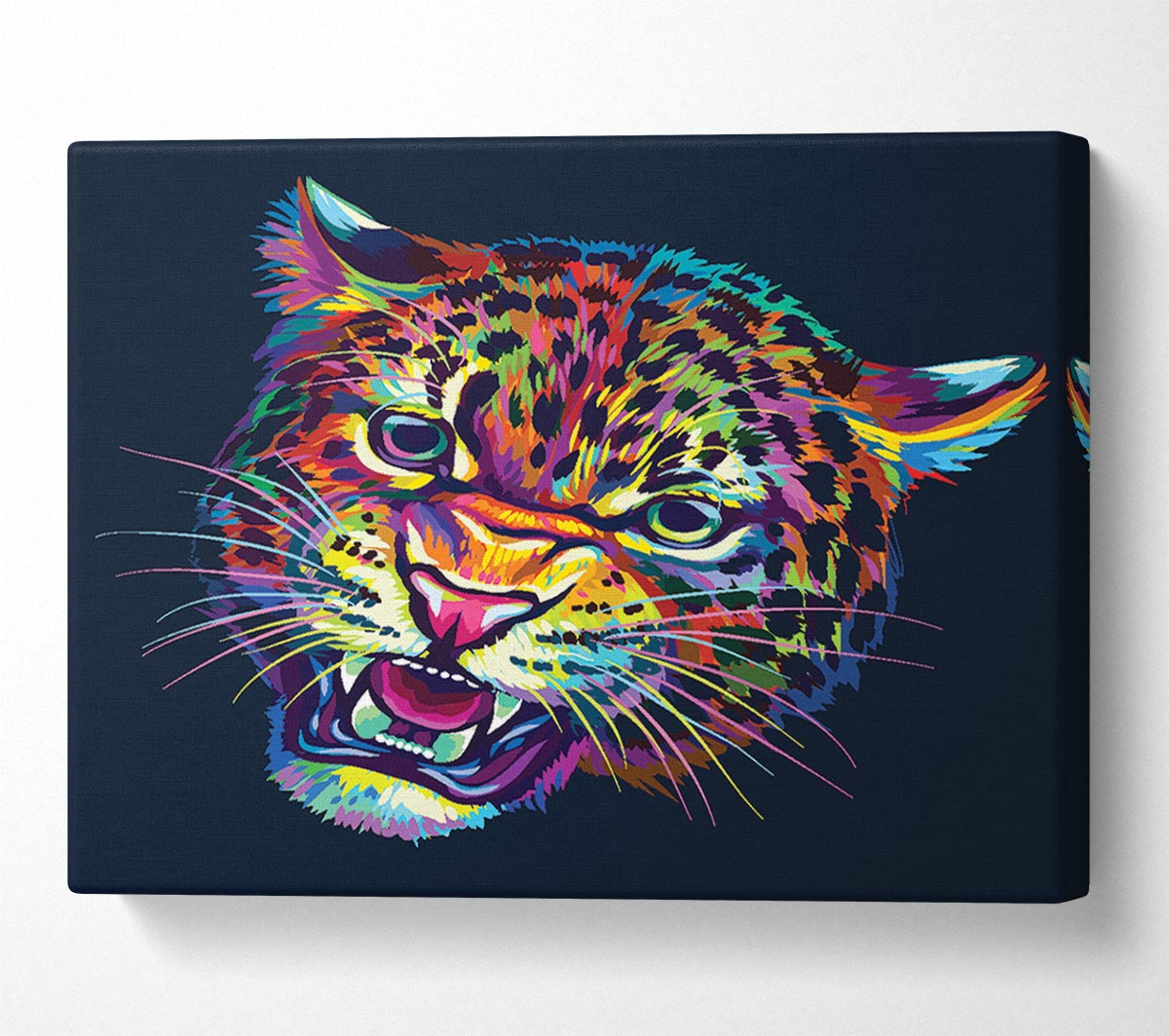 Rainbow Leopard Canvas Wall Art