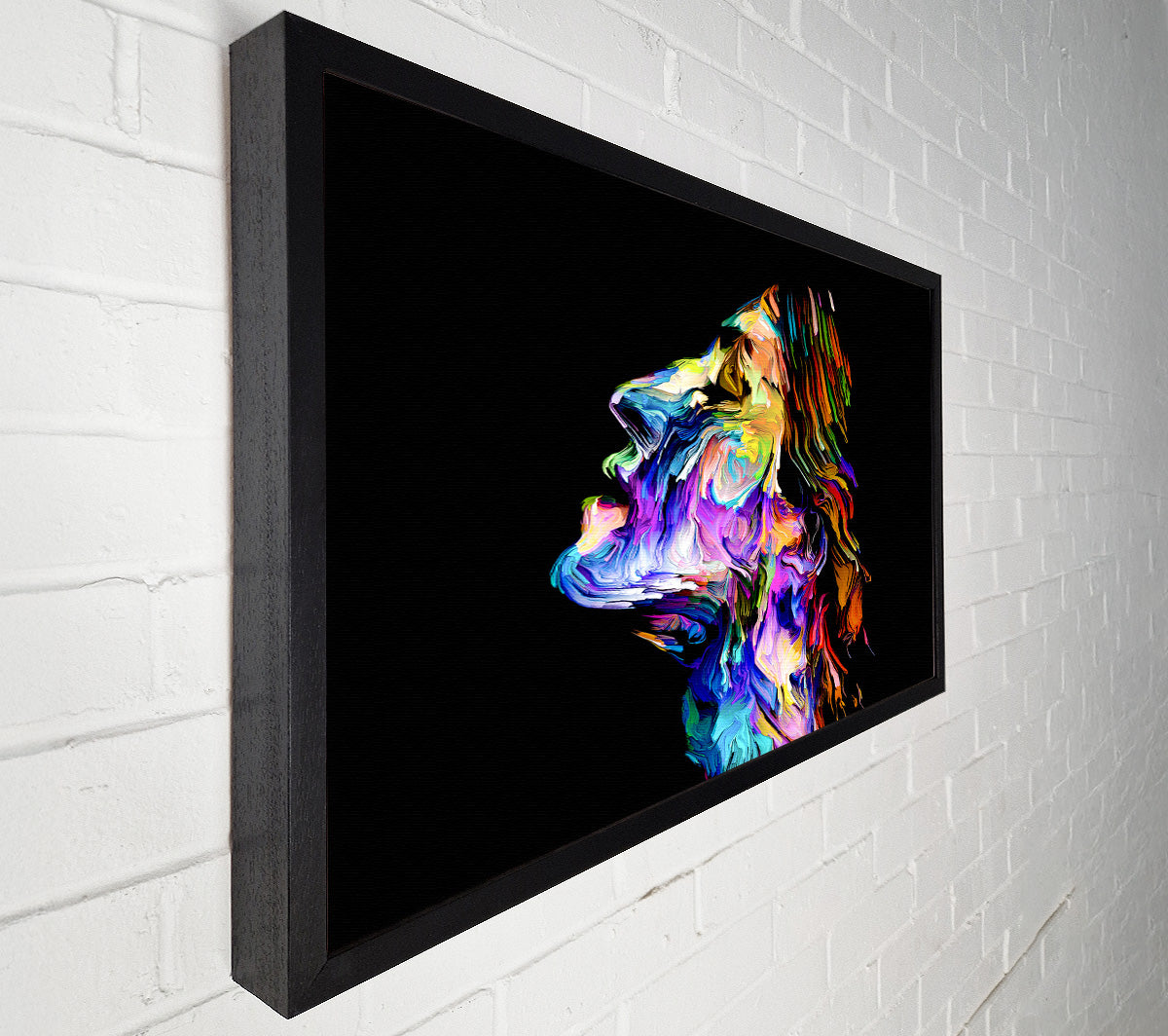 The Face Of Colour Canvas Wall Art